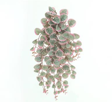 String Of Hearts Hanging Bush