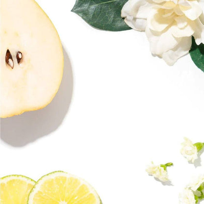 Sunday Morning Pura Fragrance (by Brooklyn Candle Studio) - The Preppy Bunny