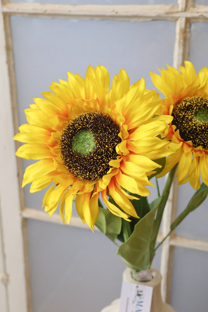 Sunshine Sunflower Stem