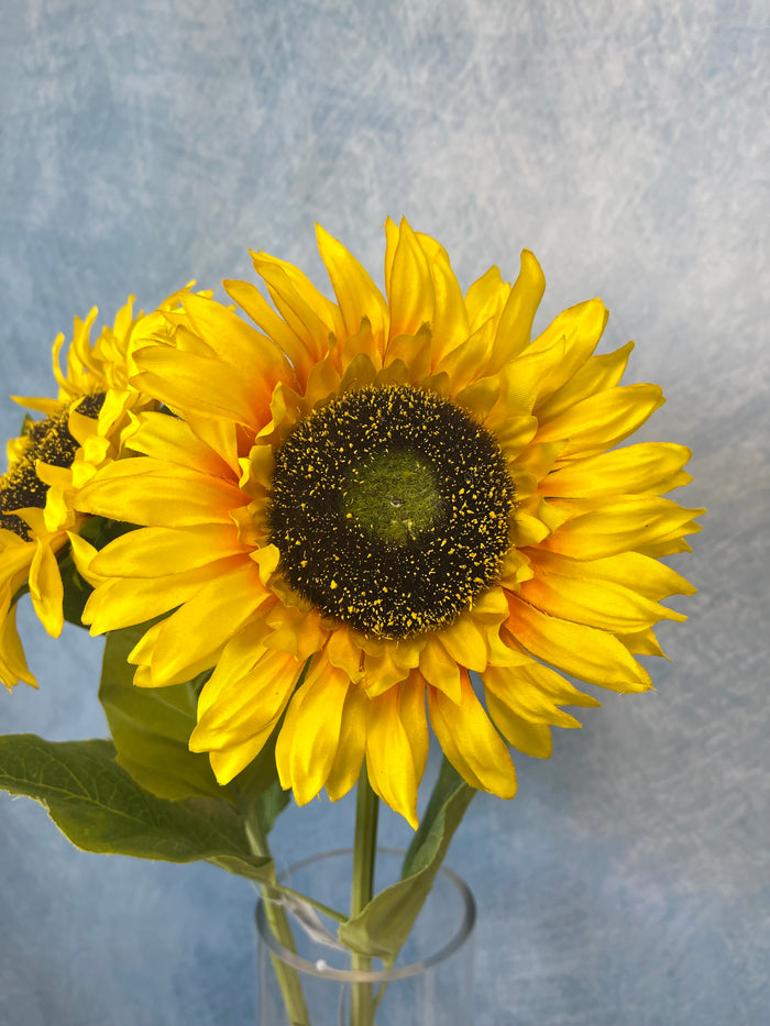 Sunshine Sunflower Stem