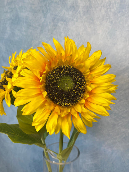 Sunshine Sunflower Stem
