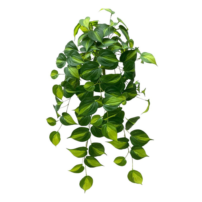 UV Protect Real Touch Philo Bush