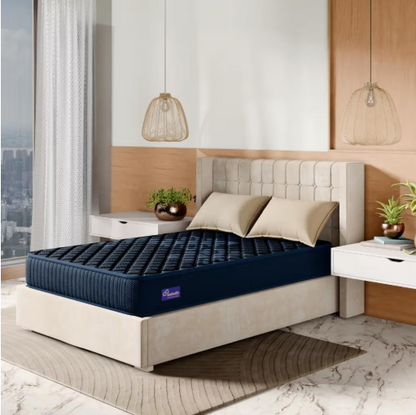 Wakefit  Ortho Plus Active Cool Mattress